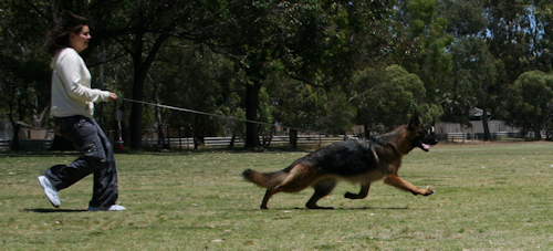 Dakota at 18 months