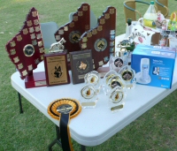Some of the Trophies and Prizes from the Weekend